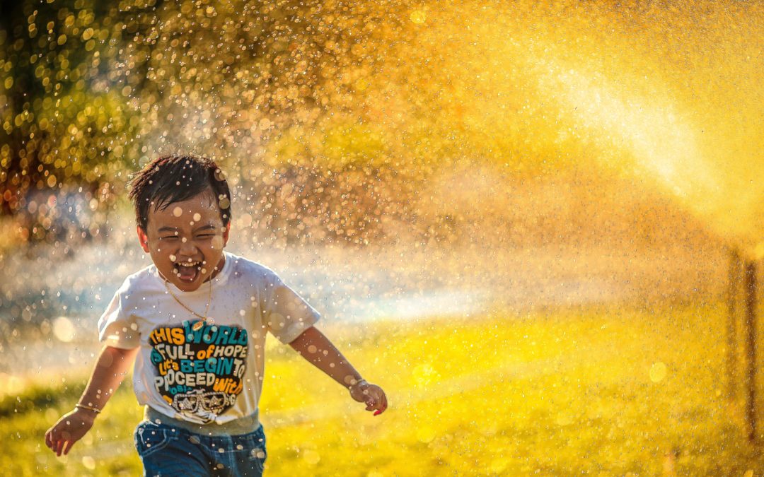 Desarrollando la Felicidad y el Bienestar con Inteligencia Emocional